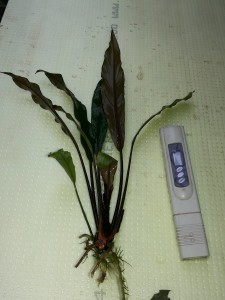 20160325_132854.jpg