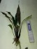 20160325_132854.jpg