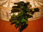20160325_172347.jpg