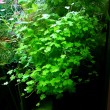 DSC01713.JPG