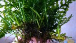 DSC01721.JPG