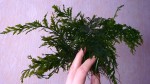 DSC01722.JPG