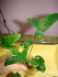 DSC05161.JPG