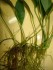 DSC05165.JPG
