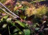 DSCF1762.JPG