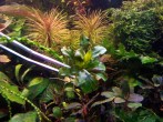DSCF1774.JPG