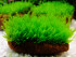 DSCF3444.jpg
