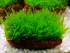 DSCF3445.jpg