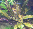 DSCN3978.JPG