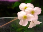 DSCN6735.JPG