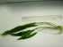 DSCN7629.JPG