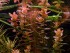 DSCN7900.jpg