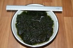 DSC_2290.JPG