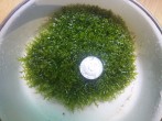 IMG_20160316_180819.jpg