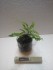 IMG_20160316_183005.jpg