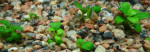 P1100221.JPG