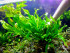 copy_150_DSCF3305.jpg