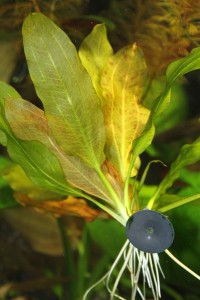 copy_307_image-14.jpeg