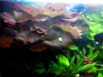 copy_349_20160308141454.jpg