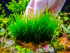 copy_440_DSCF3171.jpg