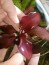 copy_467_IMG_20160219_145002.jpg