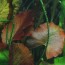 copy_597_image-16.jpeg