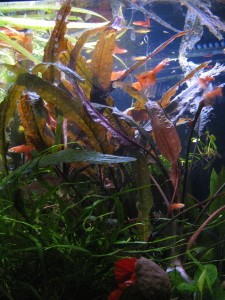 copy_636_IMG_05082.jpg