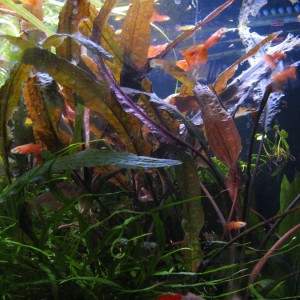 copy_636_IMG_05082.jpg