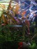 copy_636_IMG_05082.jpg