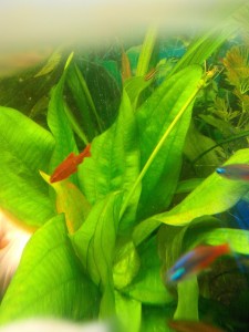 copy_690_20160305142901.jpg