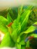 copy_690_20160305142901.jpg