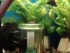 copy_791_DSC09257.jpg