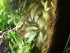 copy_847_image-15.jpeg