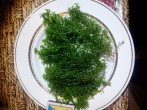 copy_921_20160307200002.jpg