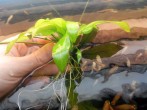 copy_921_20160311174840.jpg