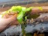 copy_921_20160311174840.jpg