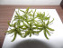 copy_944_copy_108_copy_965_copy_543_copy_436_copy_323_copy_928_copy_240_copy_257_copy_561_DSCN0181.jpg