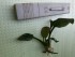 20160408_171113.jpg