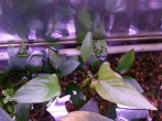 20160411_110457.jpg