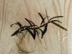 20160423_162208.jpg