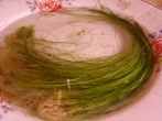 DSC01591.JPG