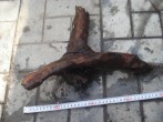DSC04656.JPG