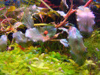 DSC08588.JPG