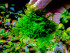DSCF3512.jpg