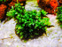 DSCF3521.jpg