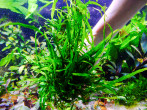 DSCF3558.jpg