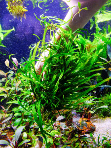 DSCF3559.jpg