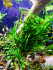 DSCF3559.jpg