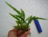 DSCN4314.JPG