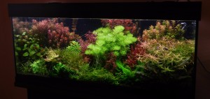 DSCN7697.jpg